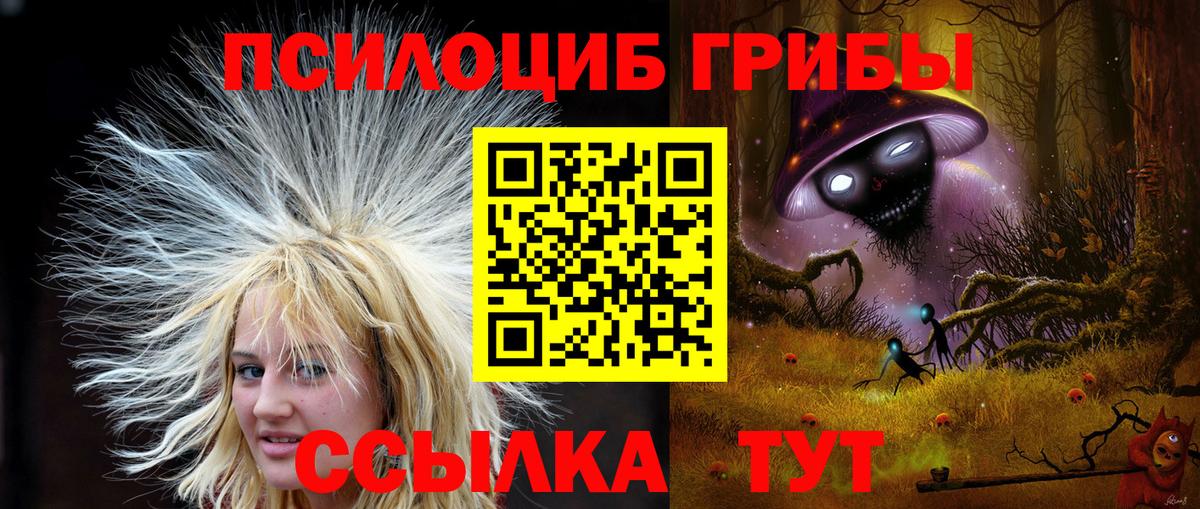Солнечногорск  Галлюциногенные грибы Psilocybe  Вход с VPN  Галлюциногенные грибы Magic Shrooms 