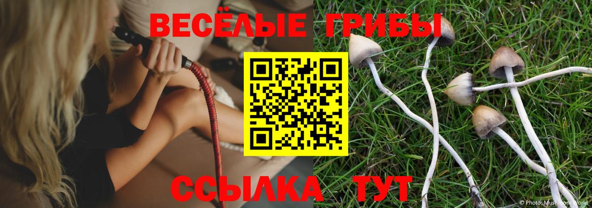 Галлюциногенные грибы прущие грибы Солнечногорск